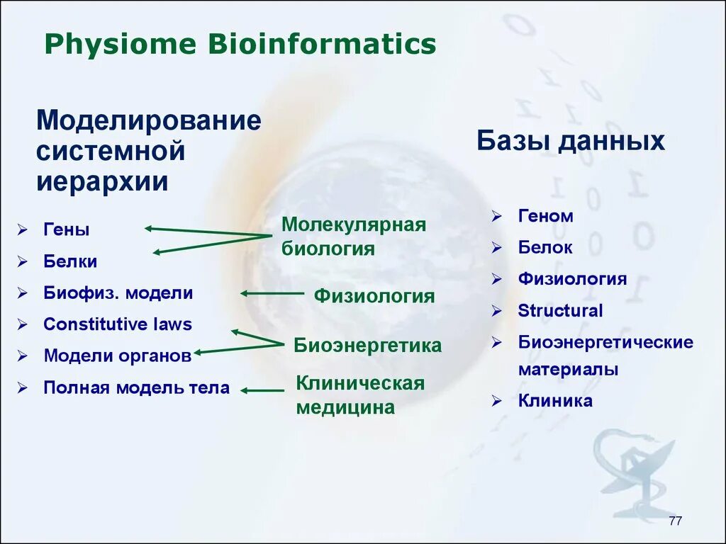 Суть биоинформатики. Биоинформатика презентация. основные задачи биоинформатики. базы данных в биоинформатике. биоинформатика это в биологии.
