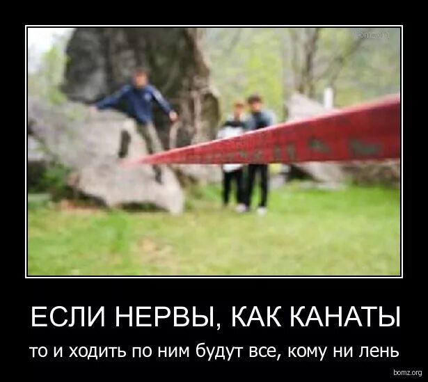 валерьянка нервы успокоить. нервы как канаты. близкие по духу люди цитаты. успокоительная бутылка юмор. валерьянка прекрасно успокаивает.