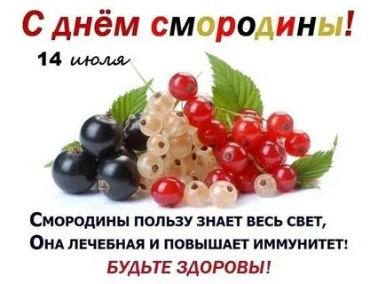 Друзья смородины