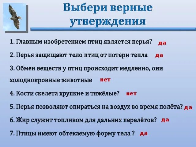 Какие утверждения верны ядром войска восставших. Выберете верное утверждение. Выберите все верные утверждения. Укажите верное утверждение. Выбор верных утверждений.