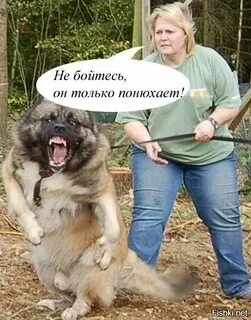 Ты смотрел налево когда ты простой кобель