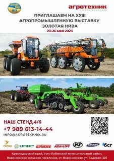 Золотая нива песня