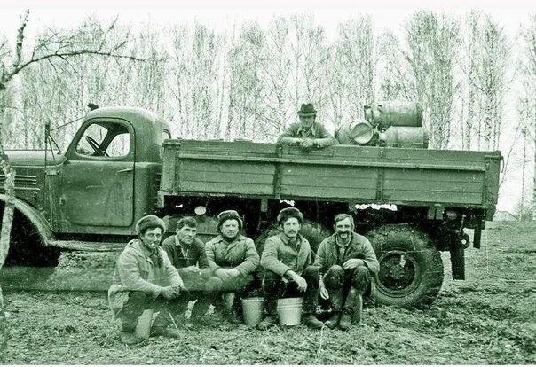 Msd classic логотип. Зис-6 msd. Зис-5 грузовой автомобиль. Msd pharmaceuticals лого. Зис-6 без кузова.