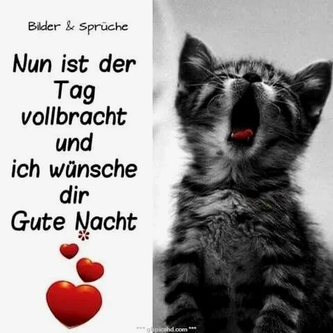 Ich zu abend. Ich wünsche euch allen einen schönen nikolaustad ответ. картинки guten tag. ich wünsche ihnen eine ruhige und gute umgebung..