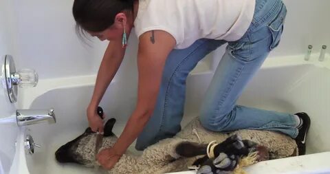 War needs two sides...fighting against each others. 