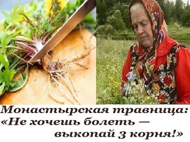 Советы травницы Елены Федоровны Зайцевой.