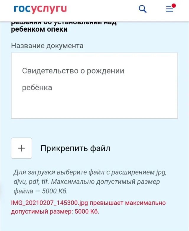 Ошибка госуслуги. Госуслуги внутренняя ошибка. Ошибка отправки заявления в ведомство. Пароль на госуслуги.