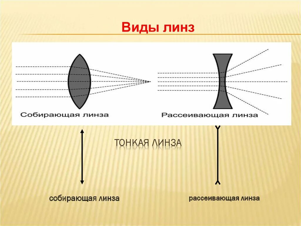 Линзы тонкая линза физика. Тонкая собирающая линза. Тонкая рассеивающая линза. Рассеивающая и собирающая тонкие линзы.