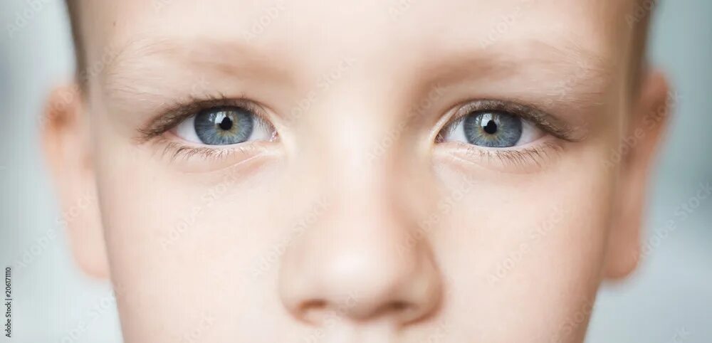 The children s eyes almost. The children s eyes almost. The children s eyes almost. The children s eyes almost. The children s eyes almost.