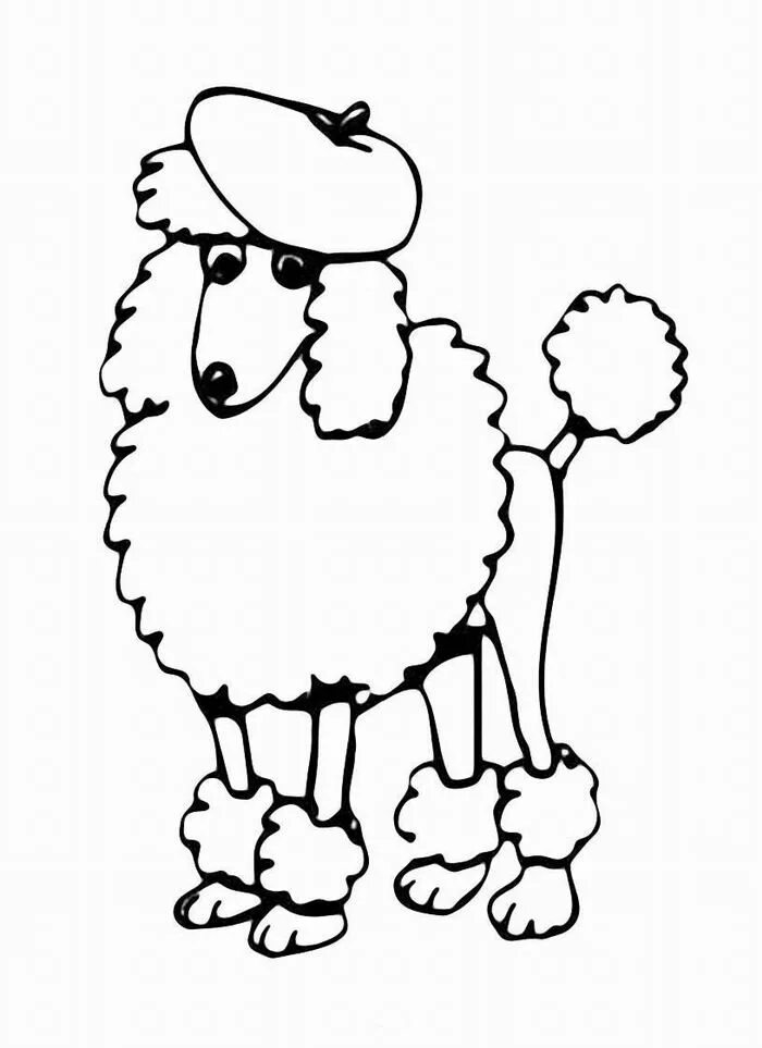 Раскраска пудель для детей распечатать Poodle Dog coloring page, Free printable coloring pages, Coloring pages