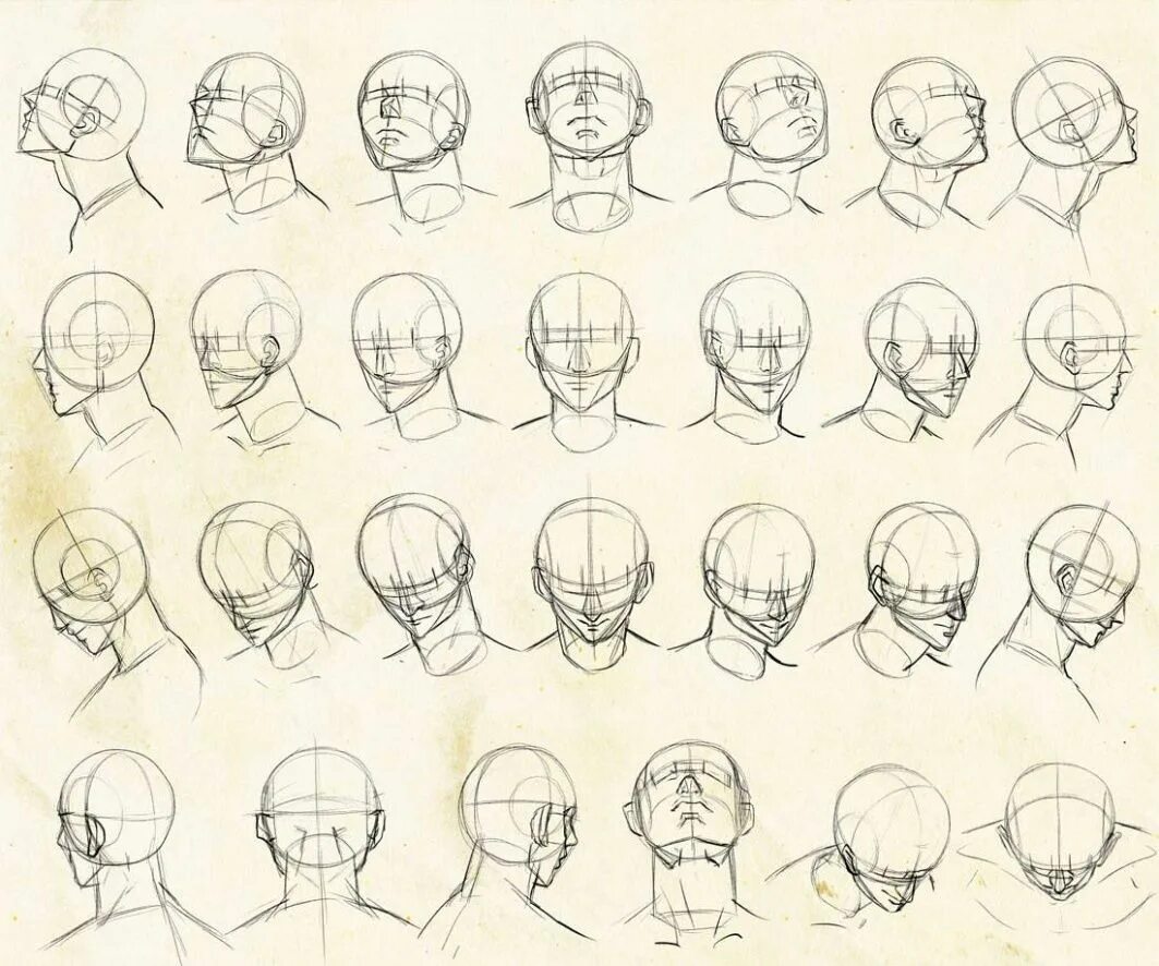 Head forms. Голова в бок референс. Голова снизу референс.