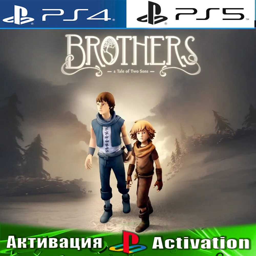 A tale of two sons купить