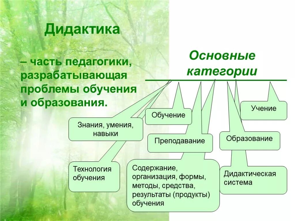 Дидактика основные категории