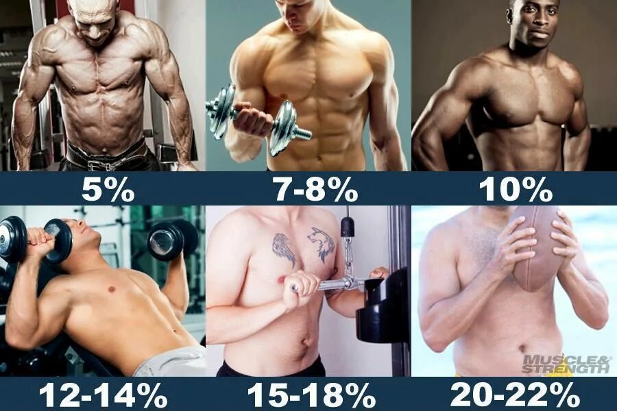 Процент жира. Процент сдира в организме. 20 Процентов жира в организме. Процент жира в теле.