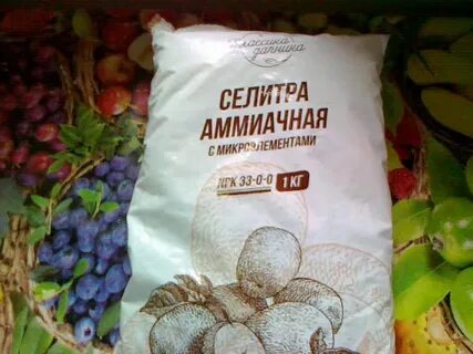 Аммиачная селитра для чеснока