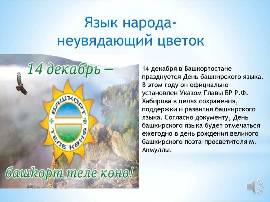 Гласные буквы в башкирском языке. Башкирия какой язык. Язык башкирского народа. Башкирия какой язык. Государственный язык республики башкортостан.