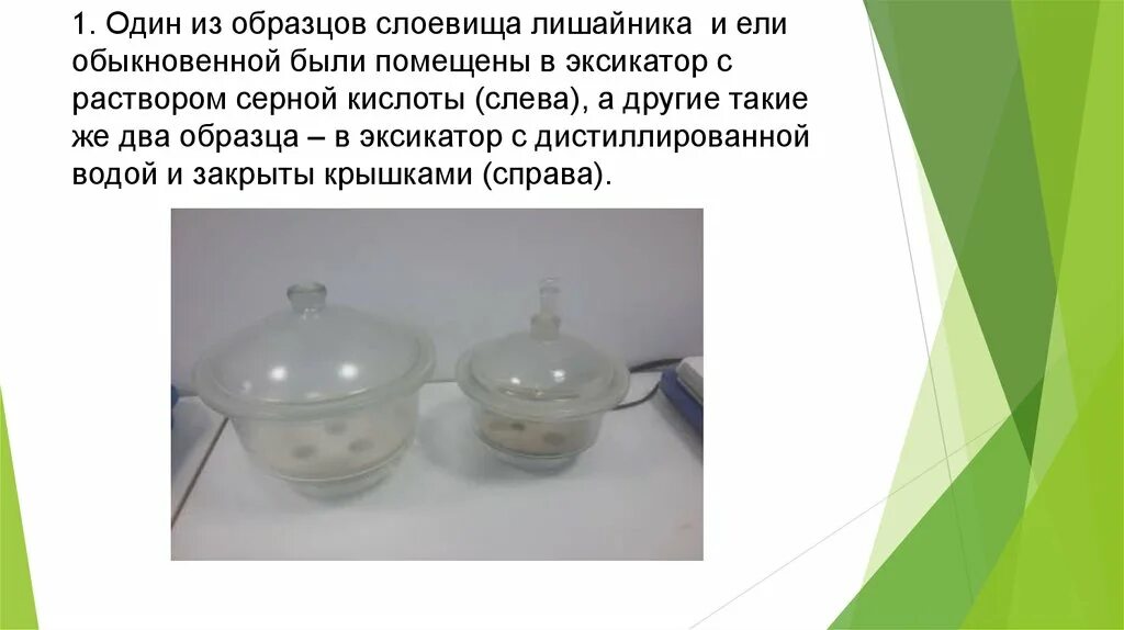 Серная кислота дистиллированная вода. Эксикатор с серной кислотой. кислота для эксикатора. эксикатор ссср. эксикатор с обезвоженной серной кислотой.