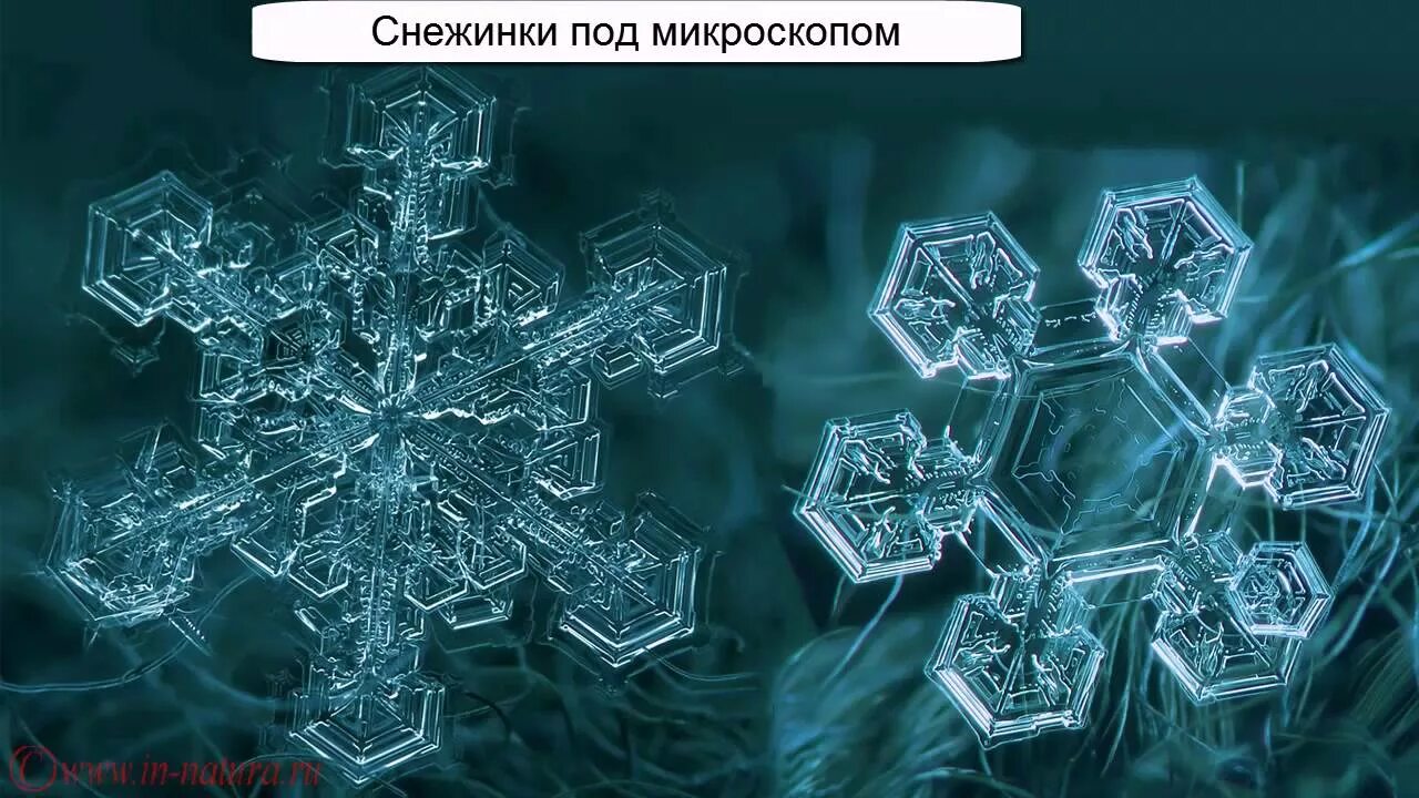 Как выглядит молекула воды под микроскопом About Technologies of Systemic Correction