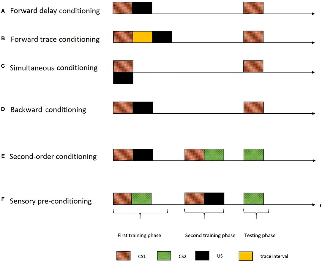 Second-order conditioning. What is second-order conditioning in Classical conditioning.