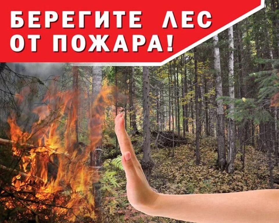 Песня берегите лес. Берегите лас от пожара. берегите лес отпоажара. берюгите лет от пожара. берюгите лет от пужыра.