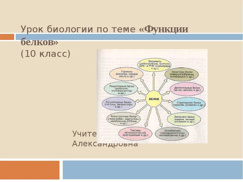 Тест белки функции. Урок по биологии. Открытый урок по биологии. Функции белка химия 10 класс. Задания по теме белки.