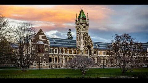New university