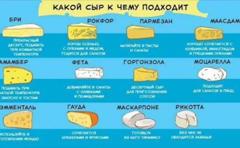 Какой сыр можно есть. Сочетания сыров. Сочетания сыра с продуктами. Сыры сочетаются с продуктами. Самый полезный сыр.