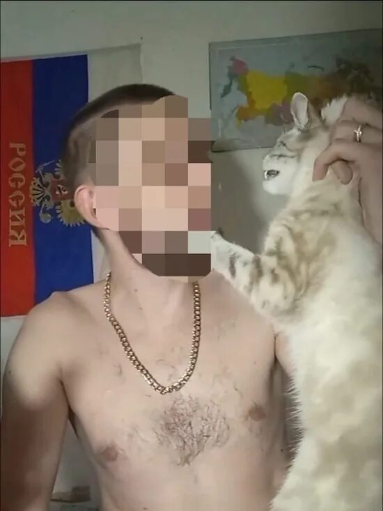 Издевательство над котом. Hello street cat издевательство над кошками