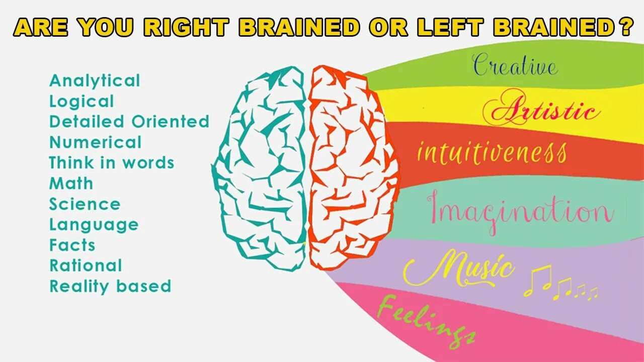 Right brained left brained. Left and right brain. right or left brain. тестирование мозга. are you right or left brain.