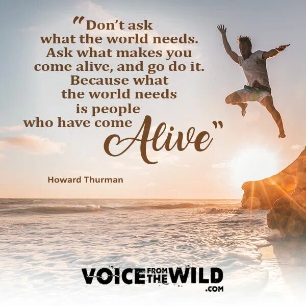 We need world. What it takes to come Alive. When we come Alive. Life's what you make it. Hollywood - where Dreams come Alive.