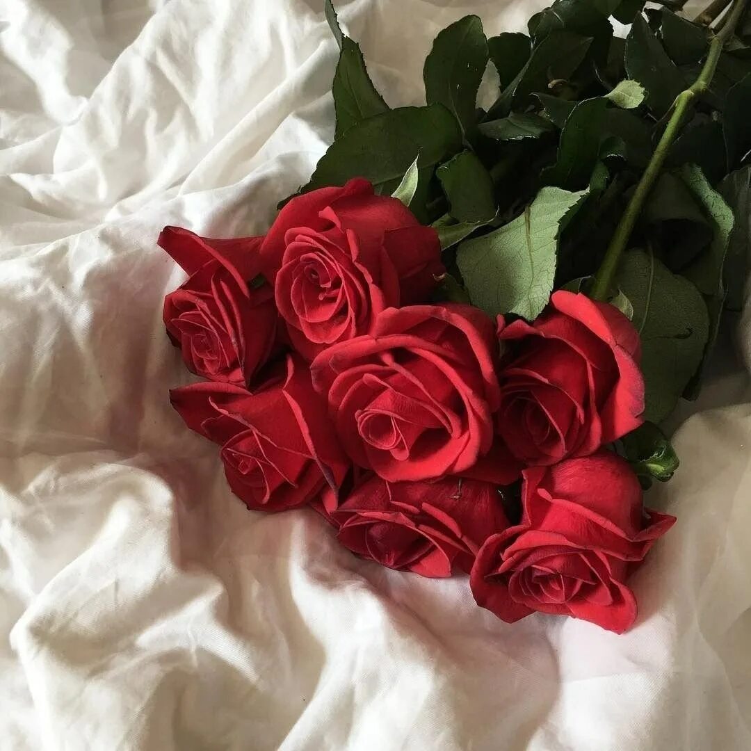 Цветов подарков и внимания. Букет роз. Шикарный букет роз. Букет "девушке". Красивый букет красных роз.