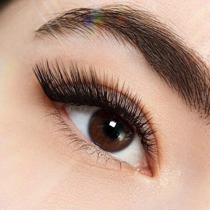 Наращивание ресниц 3д изгиб л. Наращивание ресниц изгиб м л. Наращивание ресниц изгиб м л. Изгиб л+ на ресницах 2д. Наращивание 2д изгиб l.