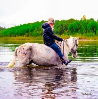 Проскочу на коне весь день