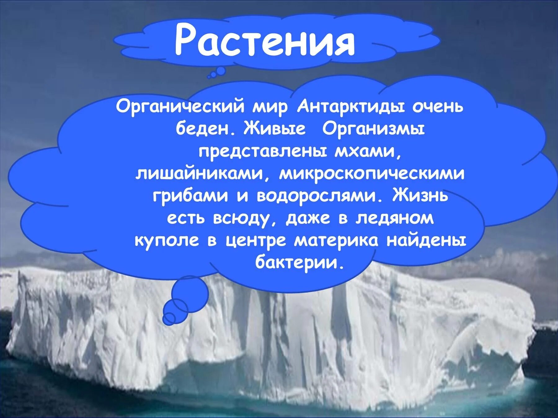 Текст про антарктиду. Антарктида презентация. Презентация на тему Антарктида. Сообщение о Антарктиде. Антарктида материк презентация.