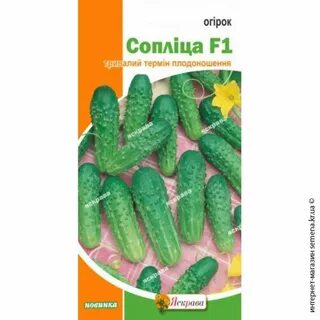 Семена огурец опт