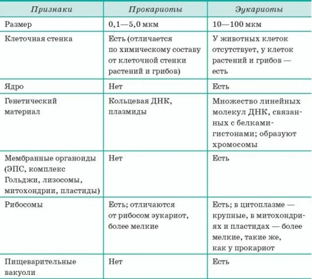 Пластиды прокариот. Характеристика клеток эукариот и прокариот. Особенности строения клеток эукариот и прокариот 9 класс. Строение клеток прокариот и эукариот таблица. Структуры характерные для прокариот и эукариот.