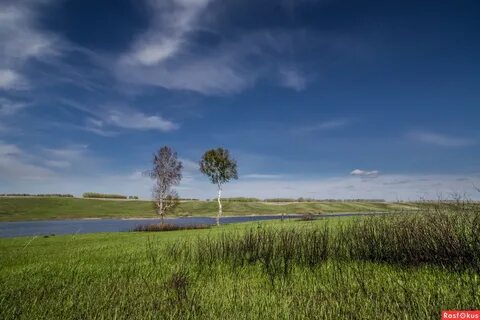 Озеро степное тюменская область