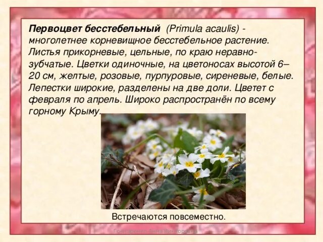 Электрофорез первоцвет песня. Хроматография и электрофорез. Электрофорез группа постер. Методики электрофореза в физиотерапии. Первоцвет слова из слова.