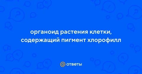 Содержит пигмент хлорофилл ответ