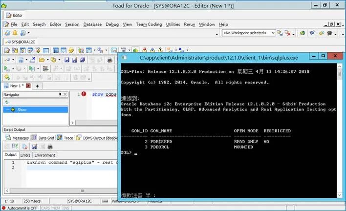 Oracle exe. Toad for oracle. toad for oracle ключи. toad подключение к базе oracle. oracle цикл for.