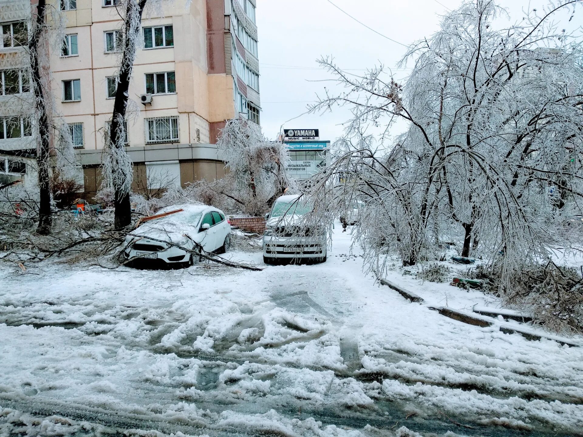 Владивосток ноябрь 2020 ледяной дождь. Ледяной дождь во Владивостоке 2020. Ледяной дождь Владивосток 19 ноября 2020. Ледяной шторм Владивосток 2020.