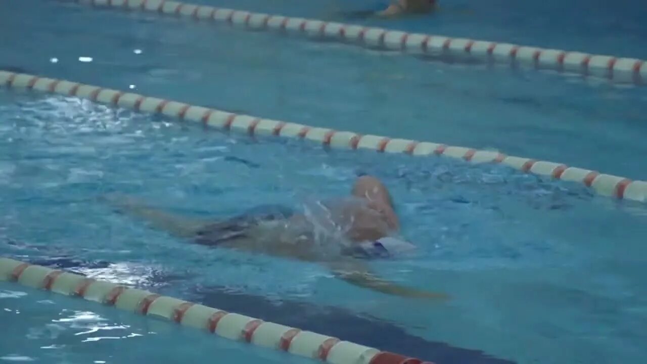 Бассейн дельфин новоуральск. Школа номер 2 обь бассейн. Лунинец тренер бассейн лесковский. Бассейн дельфин хабаровск. Бассейн дельфин калуга.