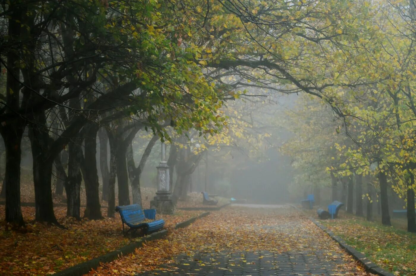 Осень сквер. Осенний парк. Осенний лес скамейка. Туманный парк осенью. Осеннее утро в парке.