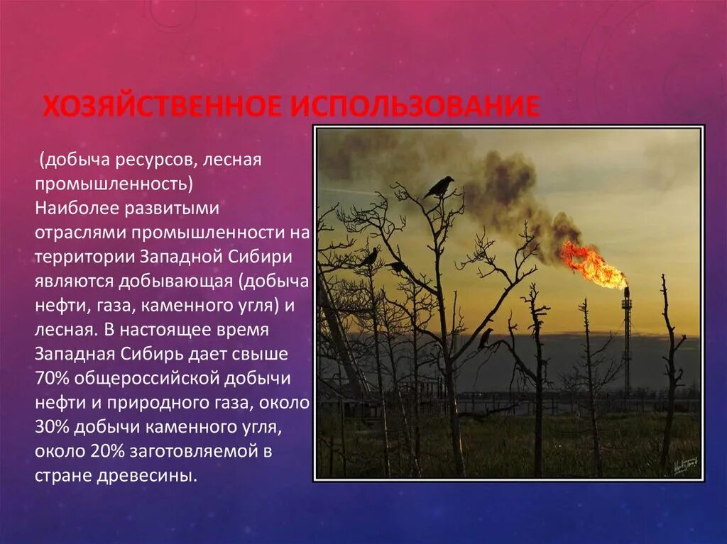 Направления хозяйственного использования. Хозяйственного использования территории. Основные направления хозяйственного использования территории. Хозяйственное использование. Основное направление хозяйственного использования территории.