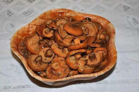 Рыжики рецепты приготовления соленые