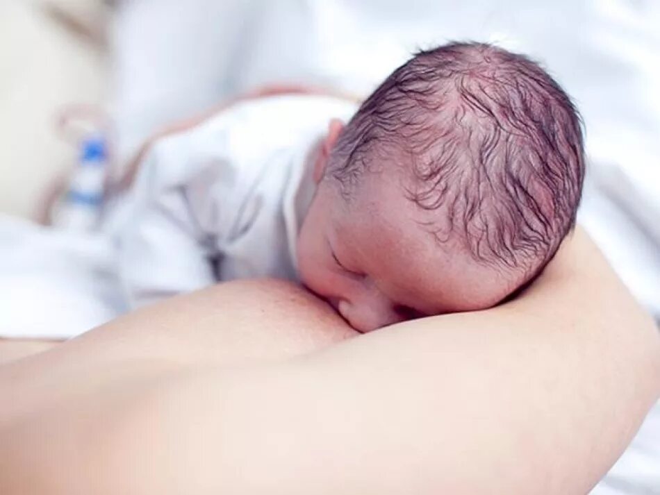 Первое прикладывание новорожденного. Раннее прикладывание к груди. Новорожденный ребенок на груди. Новорожденный после родов. Температура при вскармливании