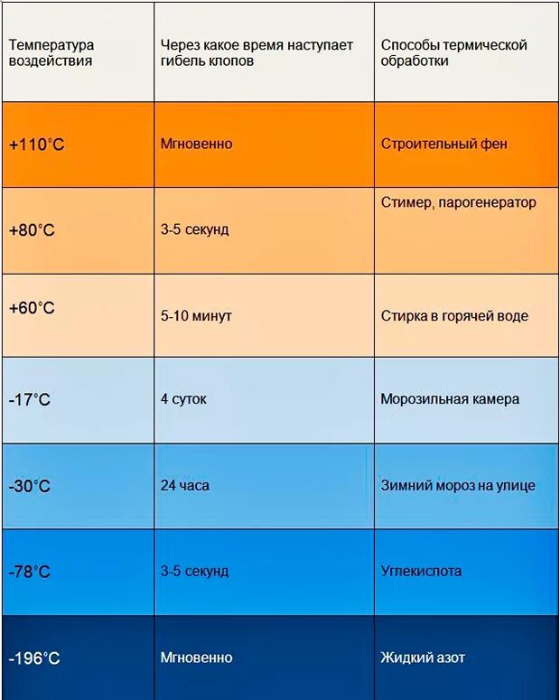 Через сколько гибнут. При какой температуре погибают клопы. Клоп постельный температура гибели. При какой температуре погибают клопы и их яйца.