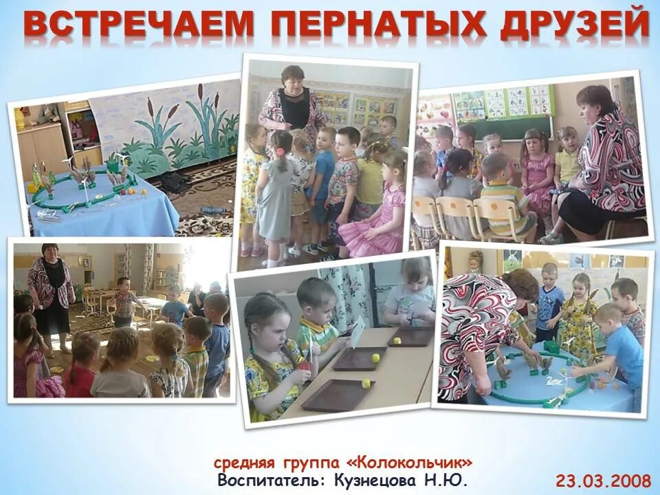 плакат встречаем пернатых друзей. встречаем пернатых друзей листовка. встречаем пернатых друзей. птицеград конкурс. встречаем пернатых друзей.