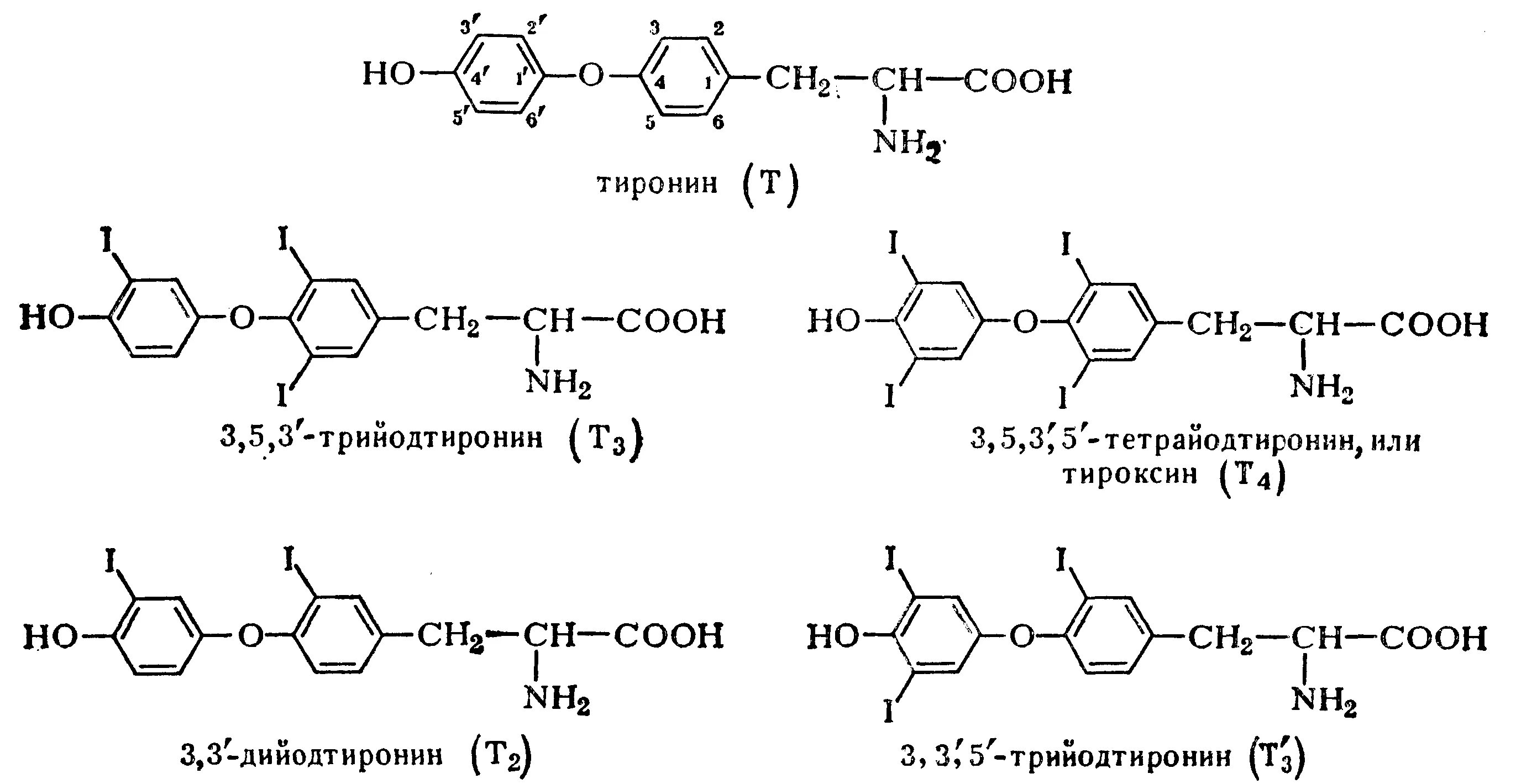 Т3 и т4 гормоны формулы. Строение тироксина и трийодтиронина. Тироксин строение. Гормон т3 химическое строение.