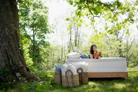 Dream beds